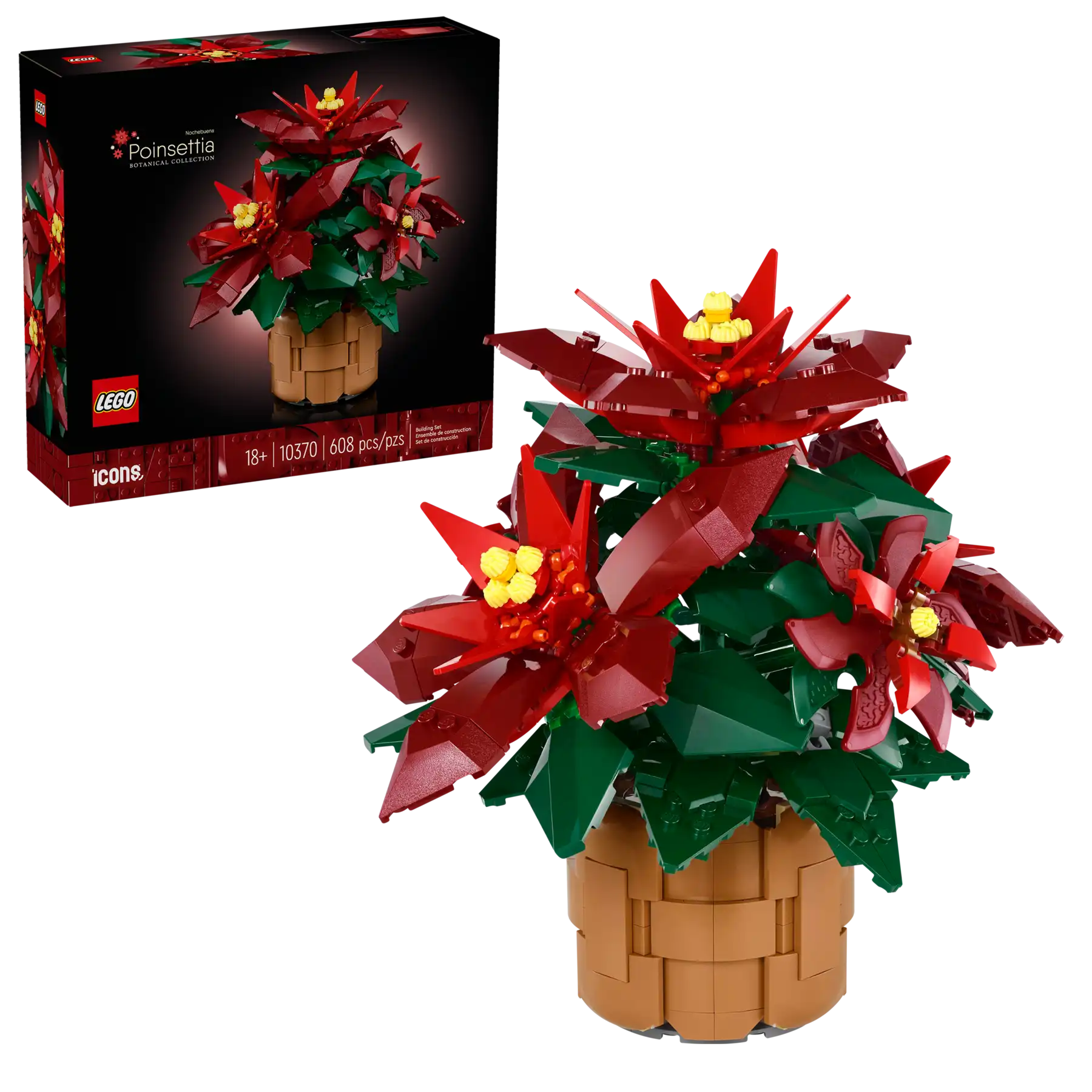 Cover image for LEGO Icons 10370 Poinsettia: A Review